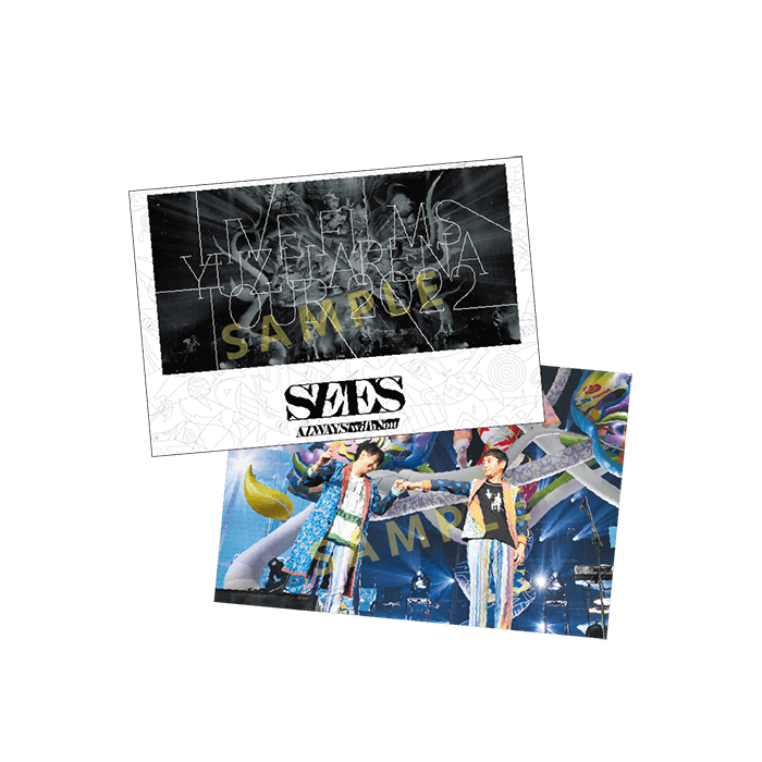 YUZU YOU ARENA TOUR ピック YUZU YOU ARENA TOUR ピック YUZU YOU