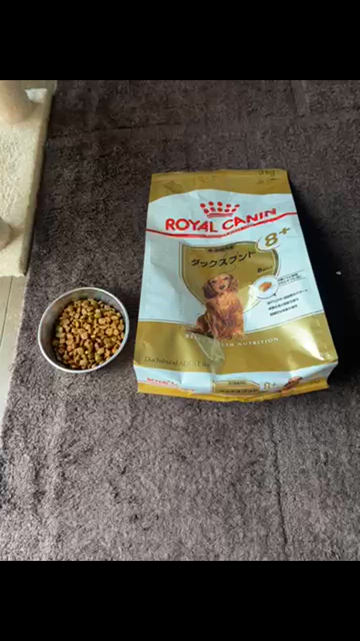 ブリード ヘルス ニュートリション ロイヤルカナン BHN ダックスフンド