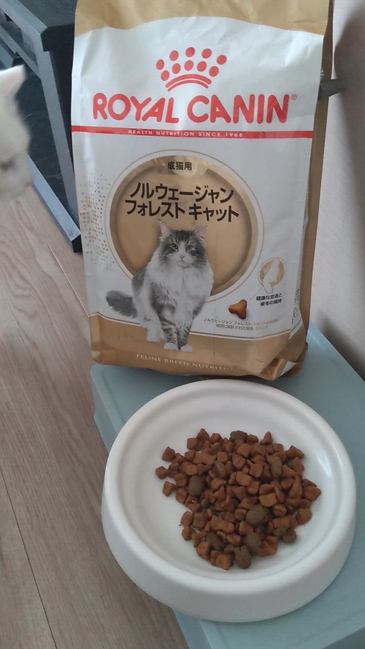 フィーライン ブリード ニュートリション 【2kg×2袋】ロイヤルカナン