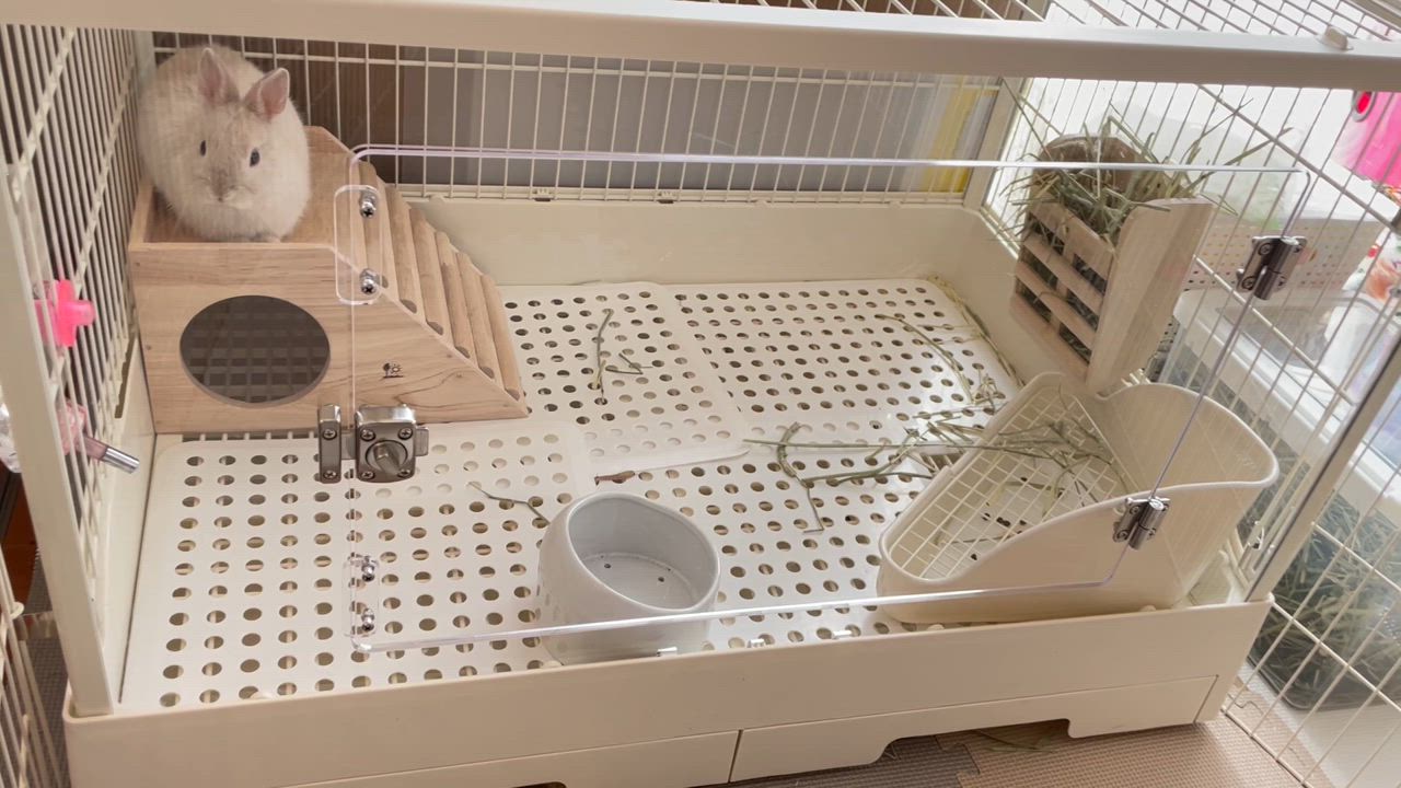 GEX（ジェックス） クリアフロント80 飼育ケージ ケージ ゲージ