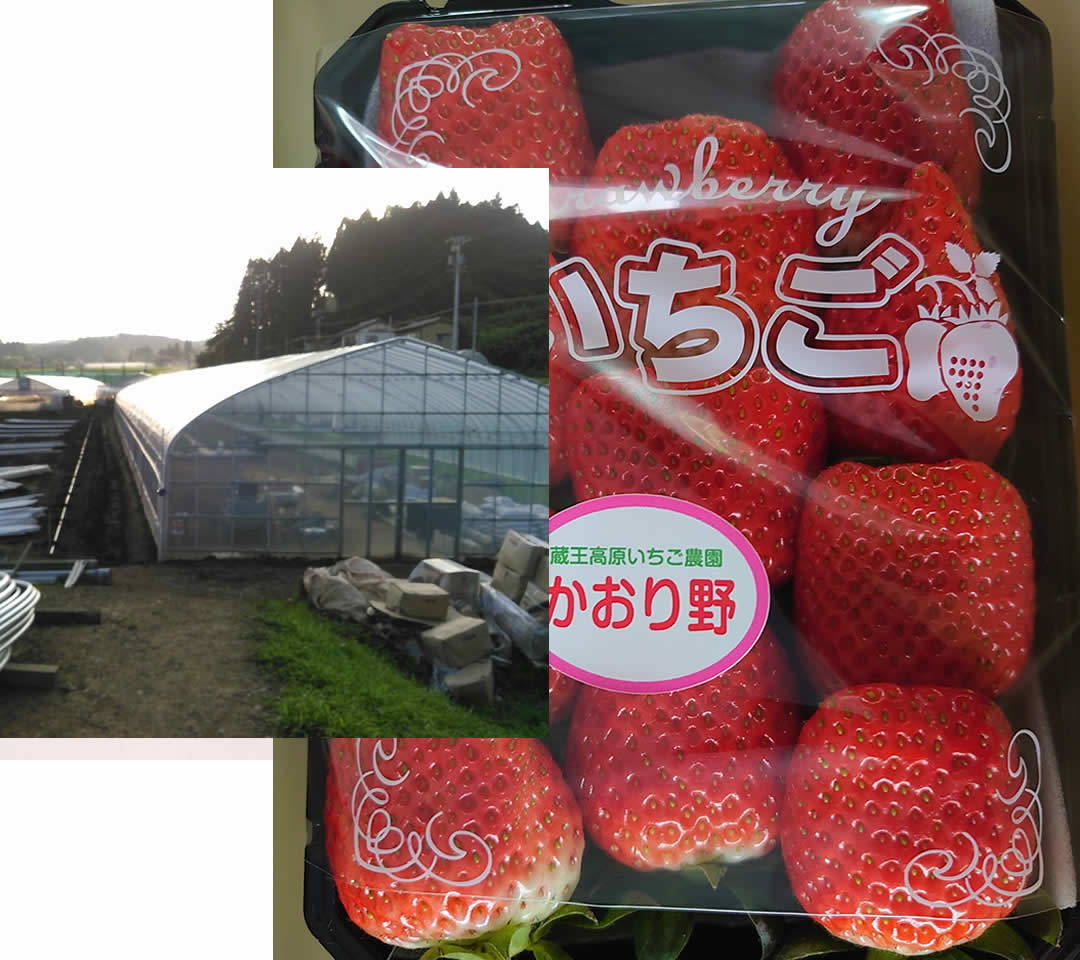 みやぎ蔵王苺農園オンラインショップ / TOPページ