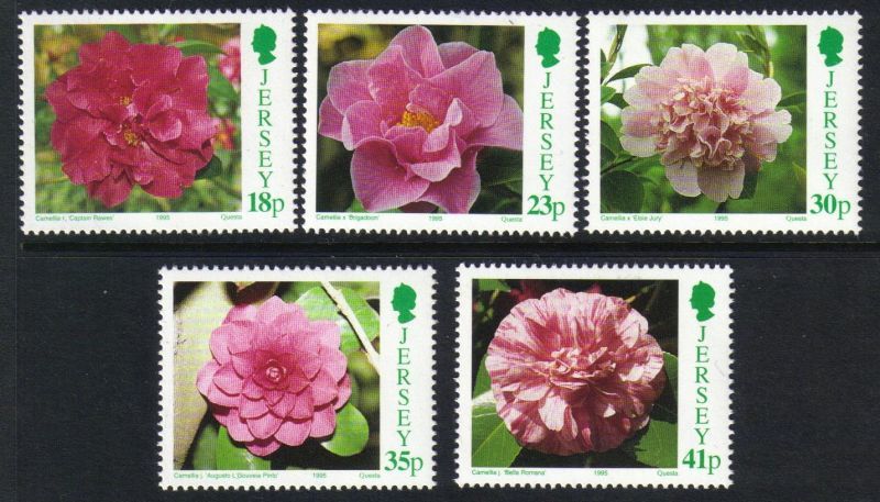 4258 外国切手 シリア 花 シリーズ 1988年 5連刷 【公式通販】