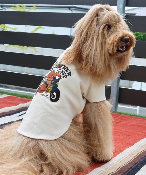 ZOZOTOWN Yahoo!店 - ペットウェア｜Yahoo!ショッピング