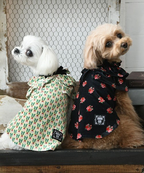 ANNA SUI（アナスイ） 犬 服 ANNA SUI/ケープ風ベロアワンピース