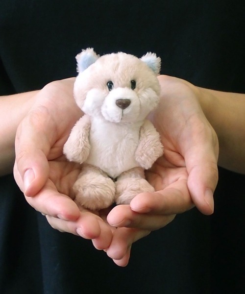 NICI ニキ Winter2021 スノーフォックス クラシック 35㎝ Amazon.co.jp