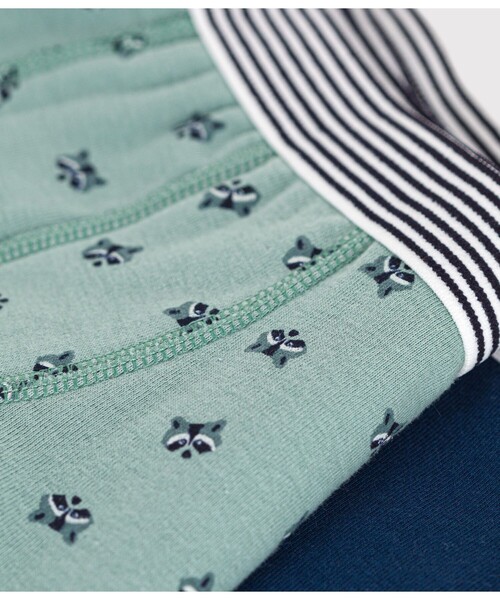 PETIT BATEAU（プチバトー） トランクス トランクス2枚組 キッズ 子供