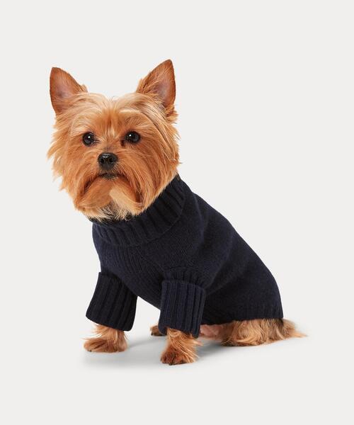 お値下げ 希少！ラルフローレン ポロベア 犬服 ドックウェア XL お