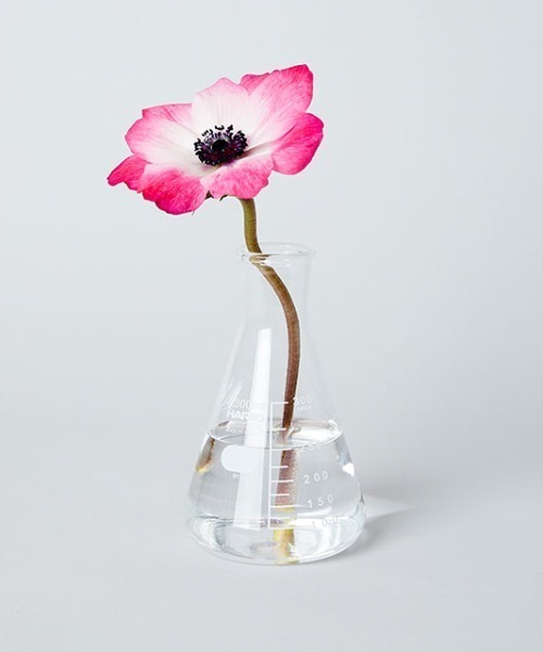 TODAY'S SPECIAL（トゥデイズスペシャル） 花瓶 「HARIO」三角フラスコ