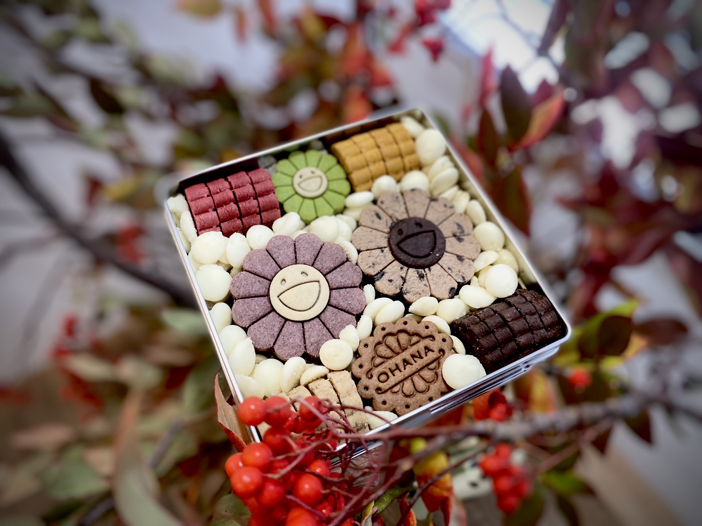 ☆レア看板☆サラヌミルク デリゴール 王乳粉 代理店マルチ薬局 レトロ