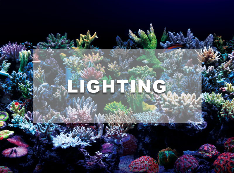 サンゴ ZOOX レブロン90 美品 ハイスペック照明 照明器具 – ZOOX