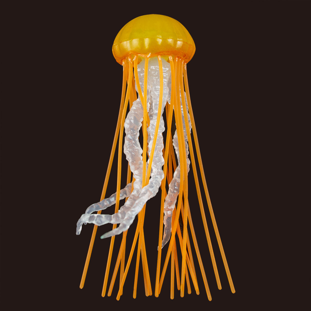 立体海月図鑑 – 株式会社ザ・アクセス-TheACCESS-