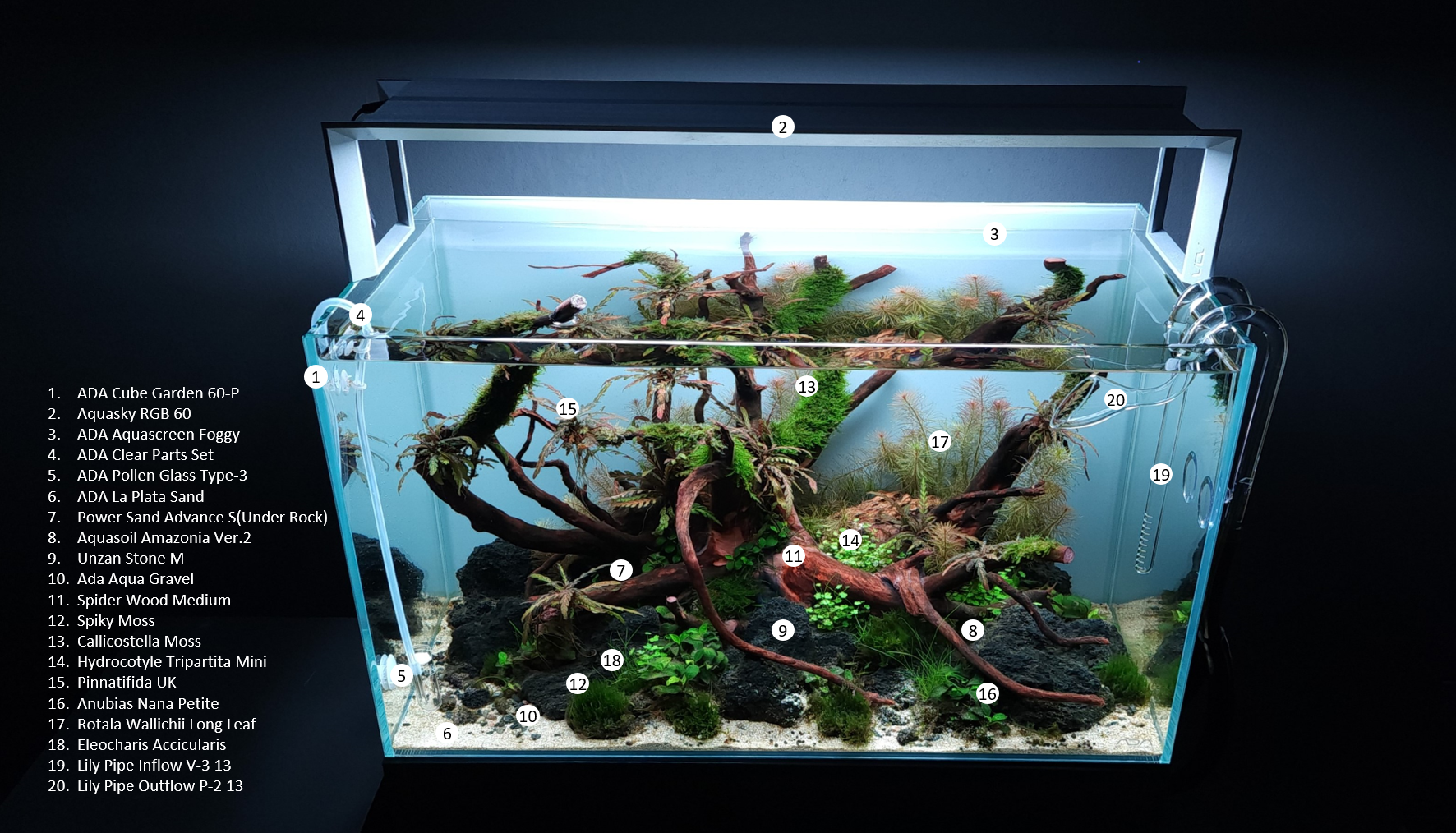 ada 60×30×36水槽 状態良好! ADA60cm水槽 60×30×36