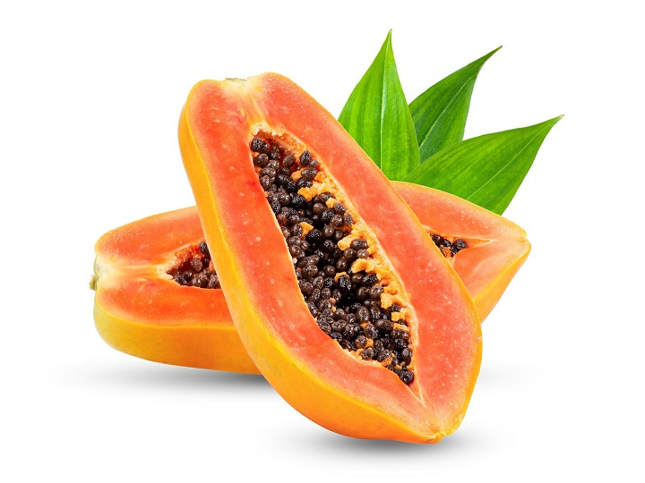 ぱぱいやさん専用 700g (国産・高品質)乾燥パパイヤの茎（無農薬・有機