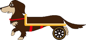 犬用車いす 赤と黒 大きな車輪 アドワークス 犬用車いす 赤と黒 大きな