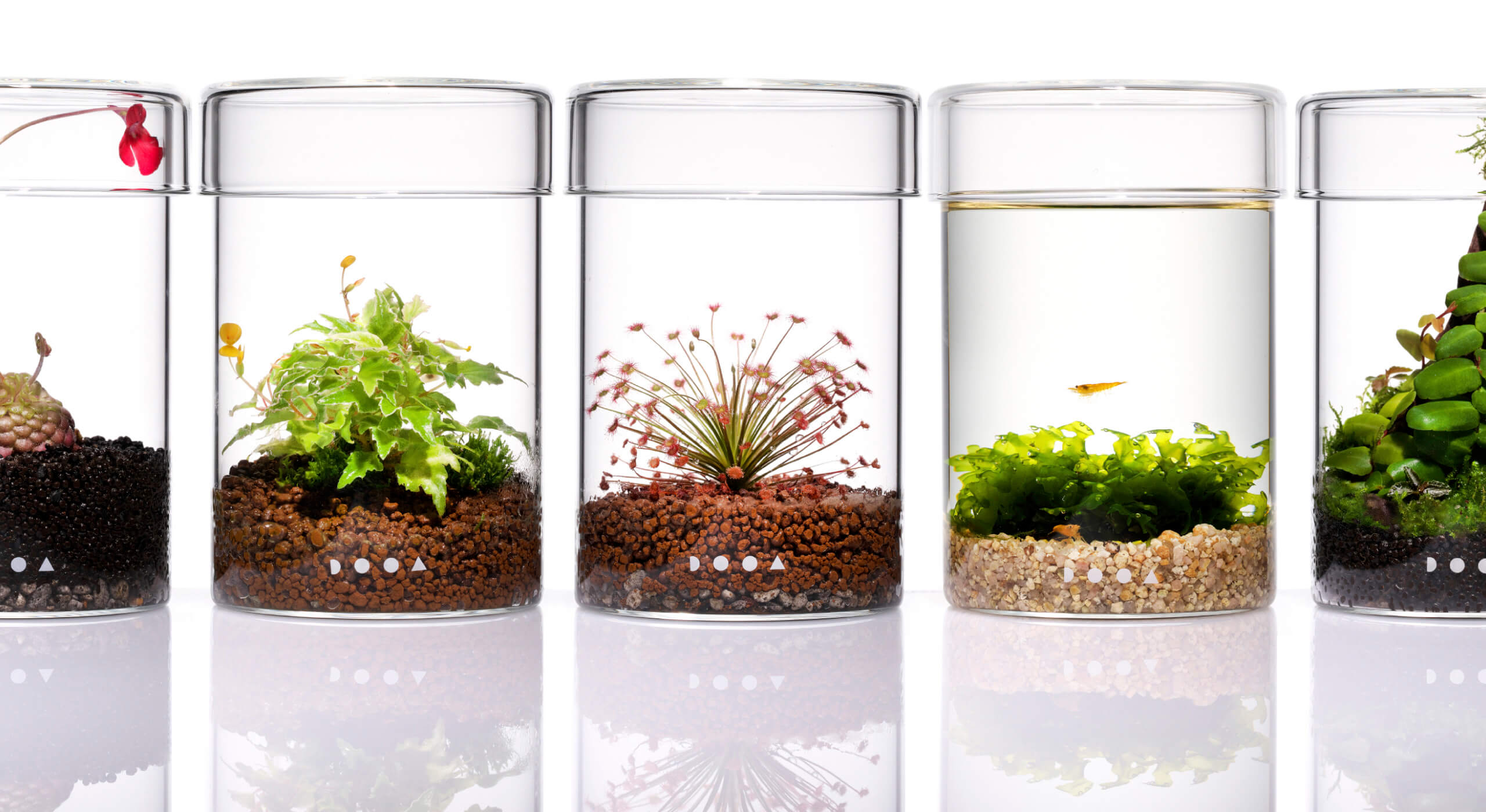 ADA DOOA ガラススポットMARU 3個DOOA ガラスポット MARU95 通気穴無し