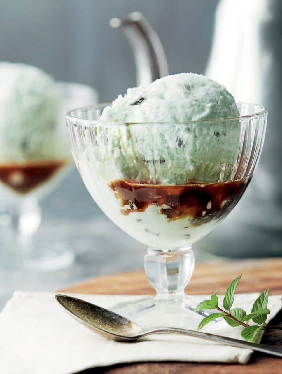 Glass Food Bowl／Ice Mint / tofmofu mint-chocolate-chip-ice-cream-
