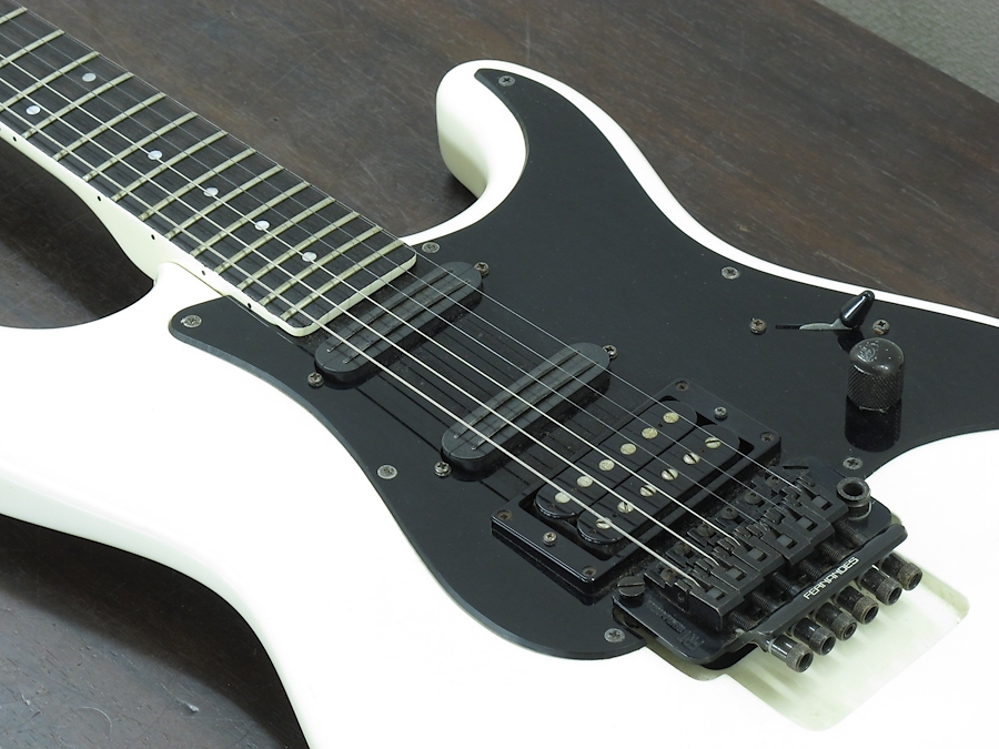 ギター FERNANDES The function フェルナンデス(FERNANDES