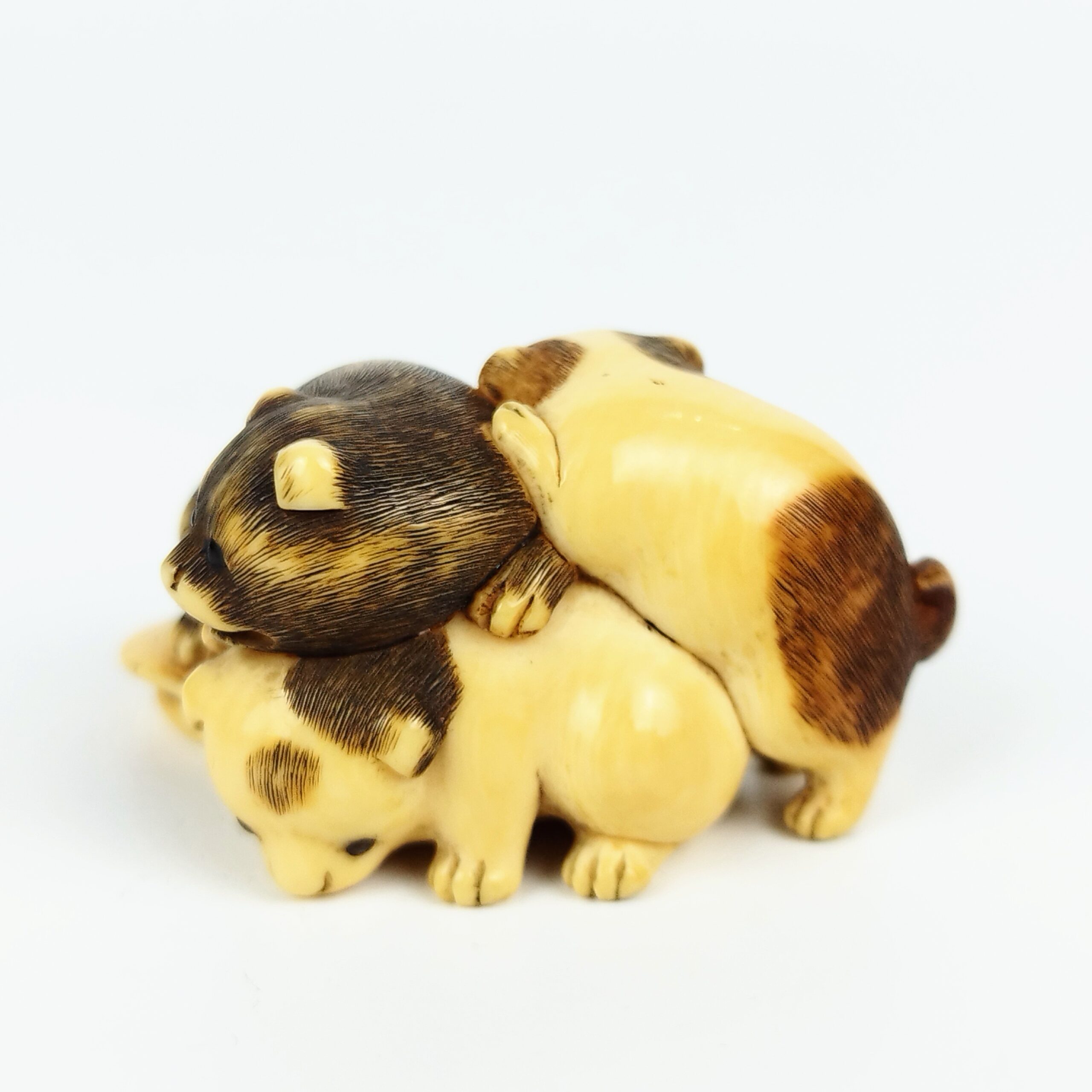 牙彫り根付 犬 – 古美術西川