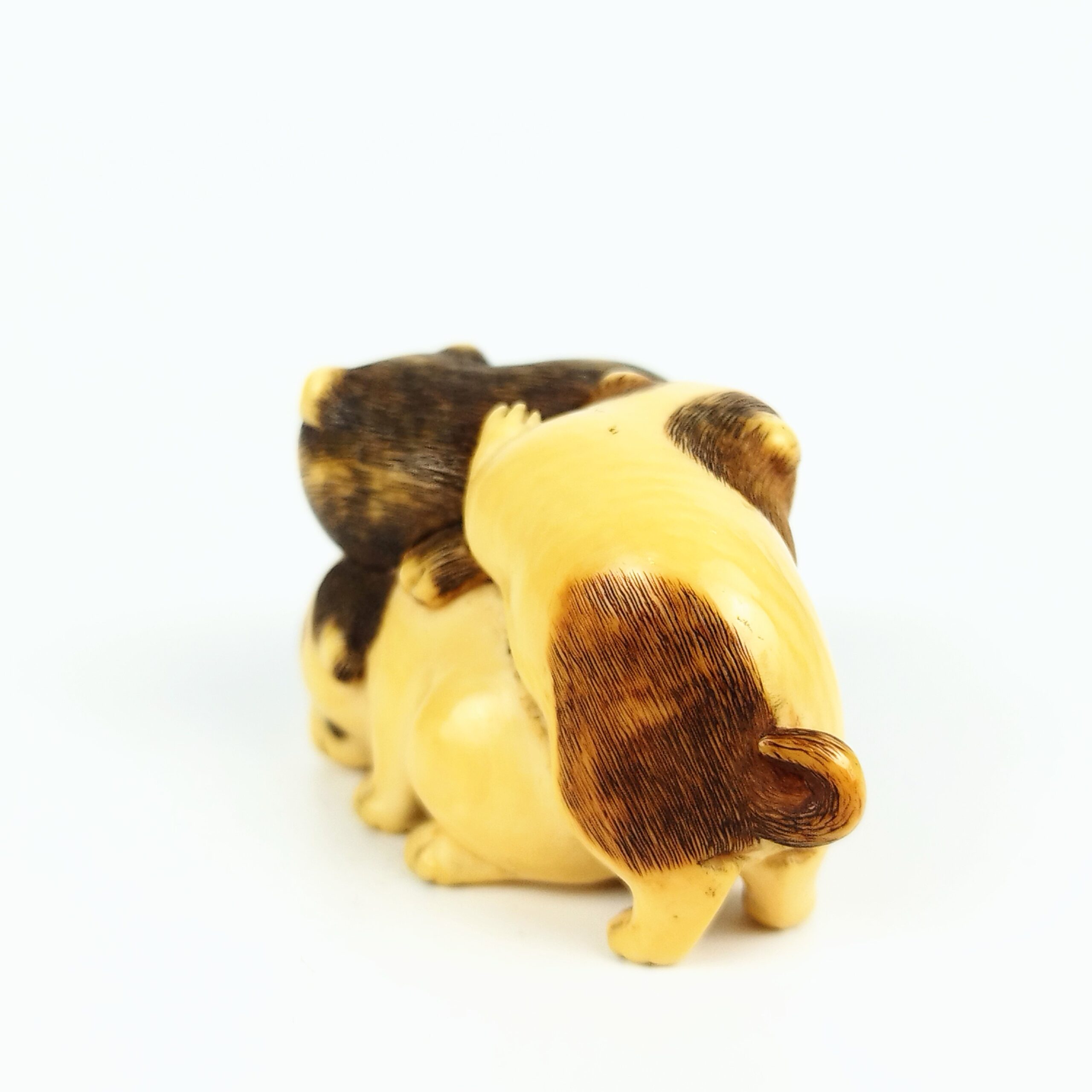 根付 2匹の犬の根付 木製 江戸時代 ブラウン 根付 2匹の犬