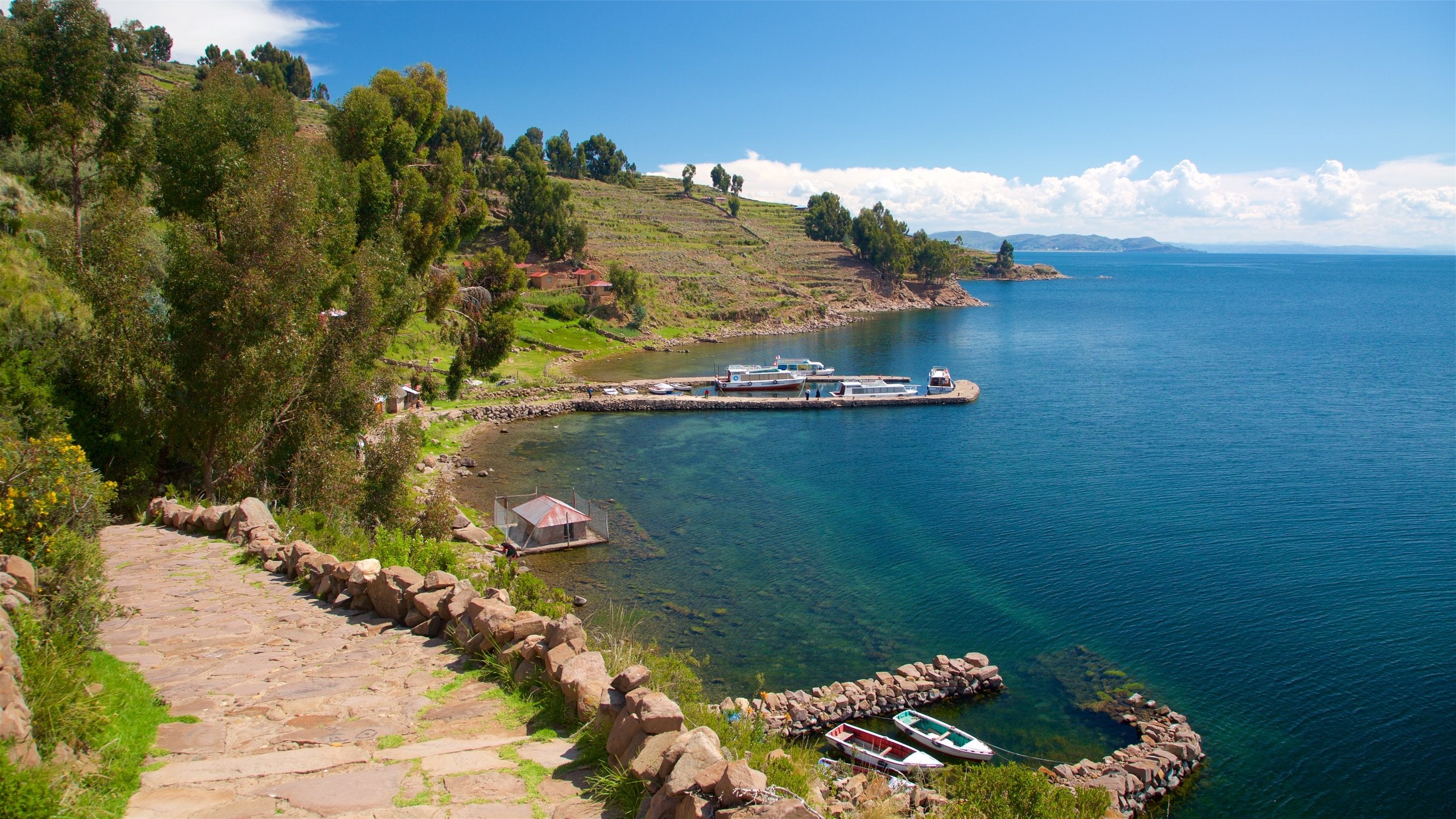 確認用油絵チチカカ湖