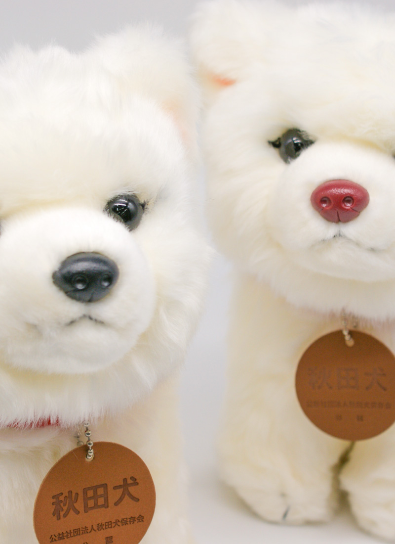 秋田犬マサルM(赤毛)/白毛M(ピンク鼻・黒鼻)/虎毛M | ハチふる SHIBUYA
