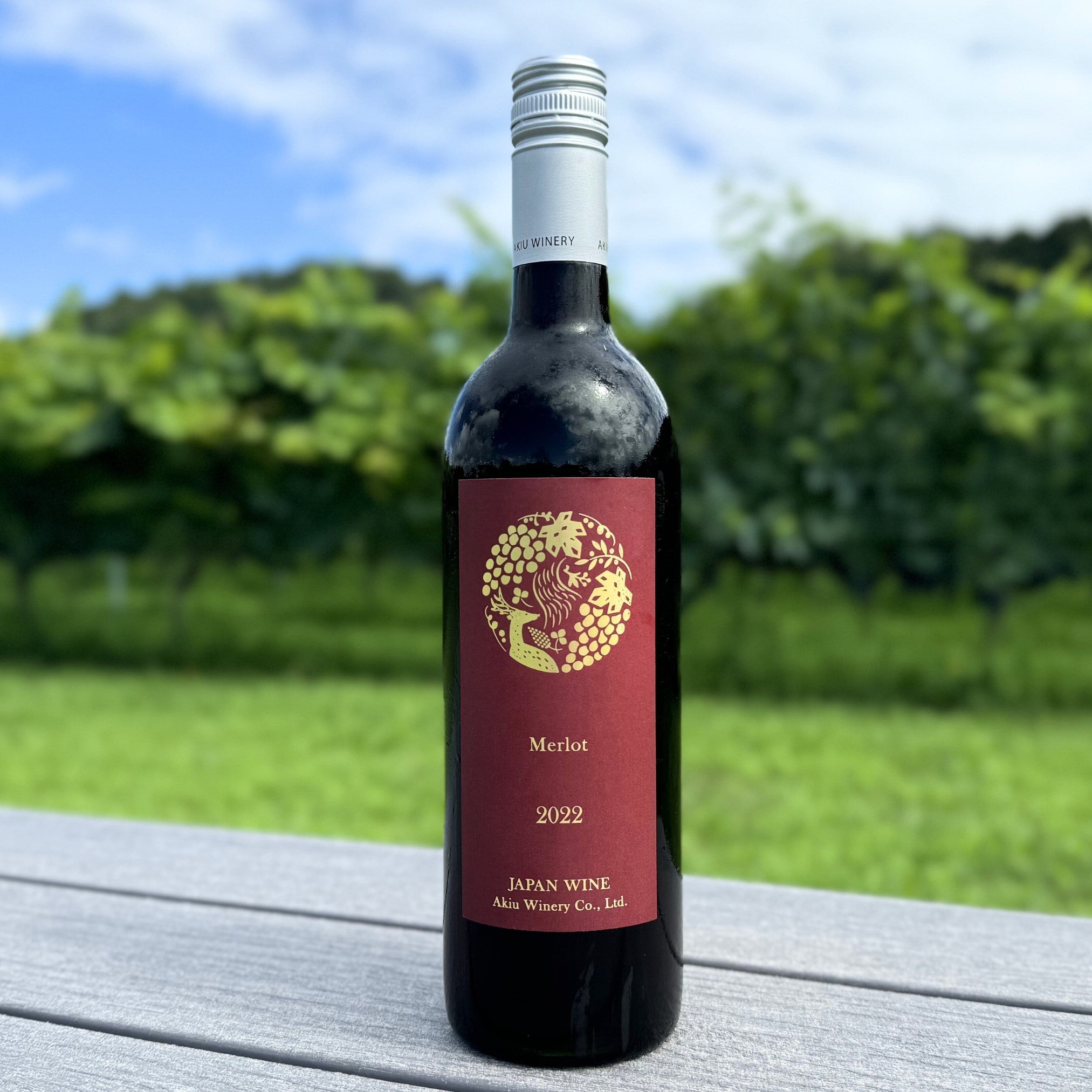 VINIQROBE Merlot 2021 Viniqrobe Merlot 2023 ヴィニクローブ