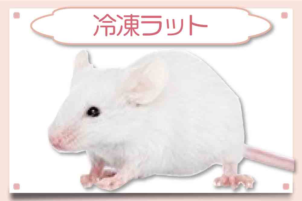 アダルトマウスMサイズ】1匹167円・安い冷凍マウス通販｜東京販売店