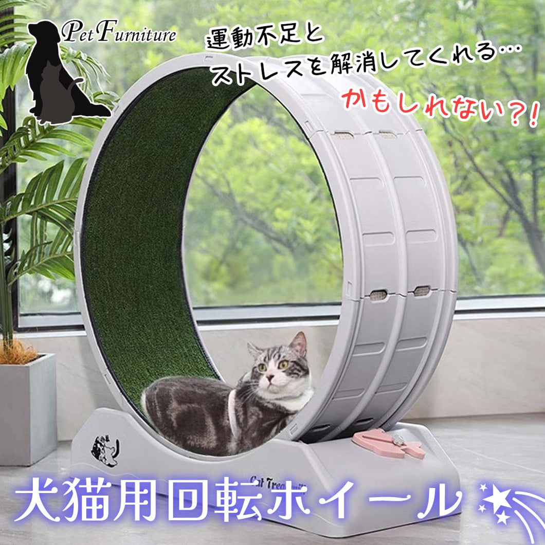 選定された行進 foil ボーダーレス 両面 犬猫 Amazon.co.jp: MTG