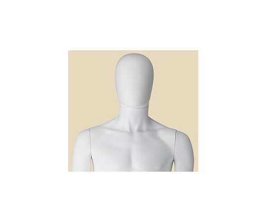 67-6609-48 紳士頭部パーツ 白（PP製全身マネキン、トルソー用） 61