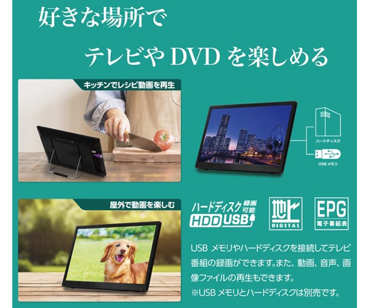 69-0805-13 DVDプレーヤー搭載14インチ フルセグポータブルテレビ OT
