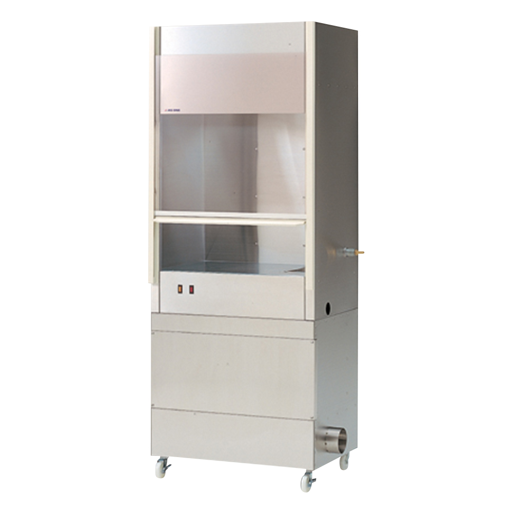 コンゴDR 大型 赤道州 トルクアタ 83mm 【公式通販】