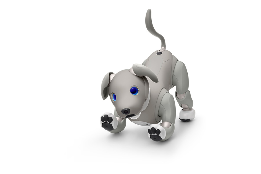 黒ゴマ ソニー アイボ ERS-1000 アイボーン AIBO SONY レア 黒ゴマ