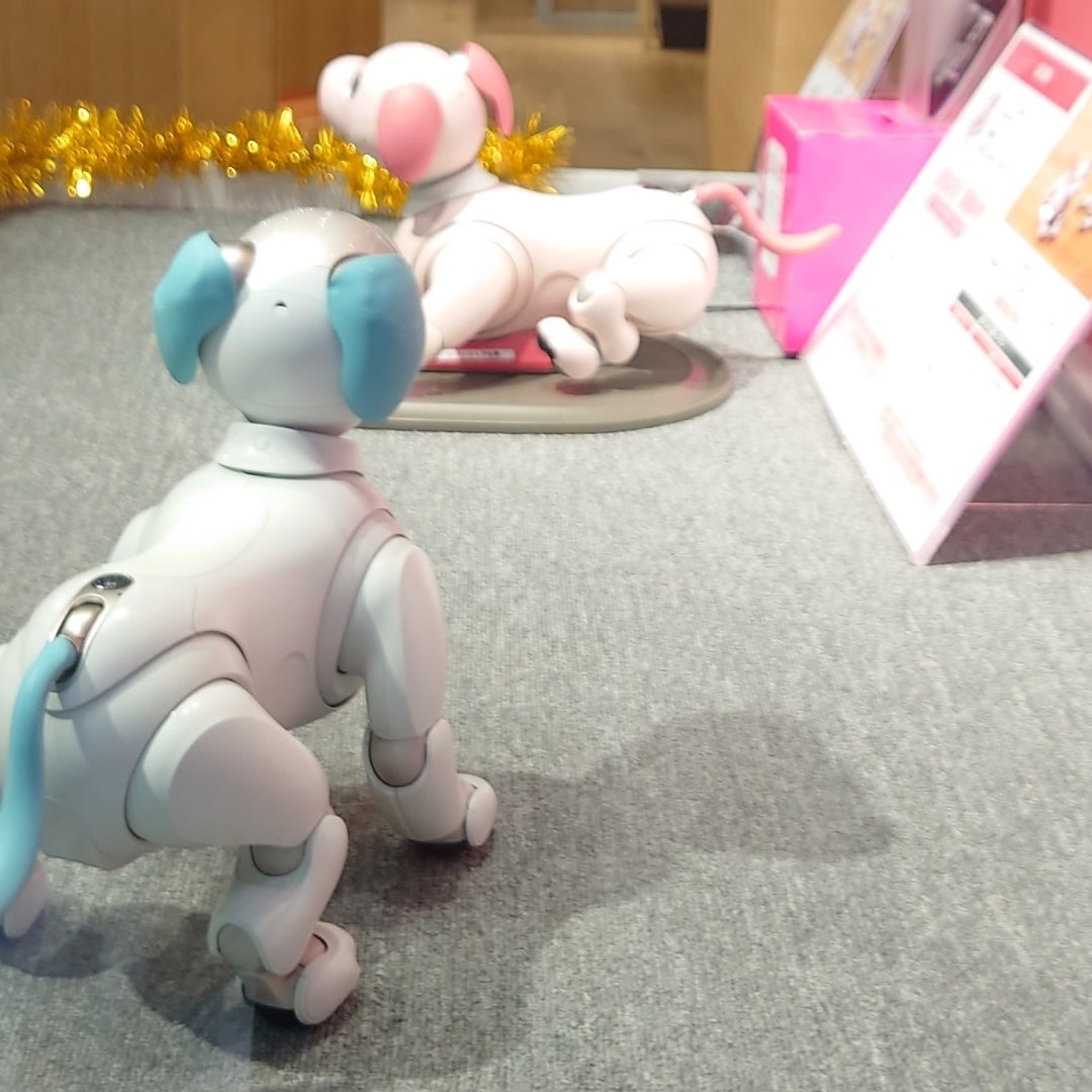 輝夜出品】SONY aibo いちごミルクエディション 輝夜出品】SONY aibo
