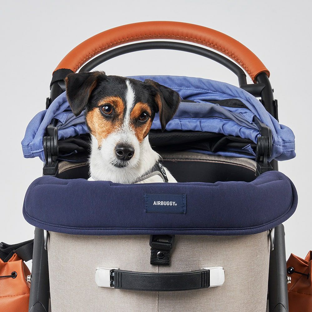 コット単品 | エアバギー公式オンラインストア[AIRBUGGY Official