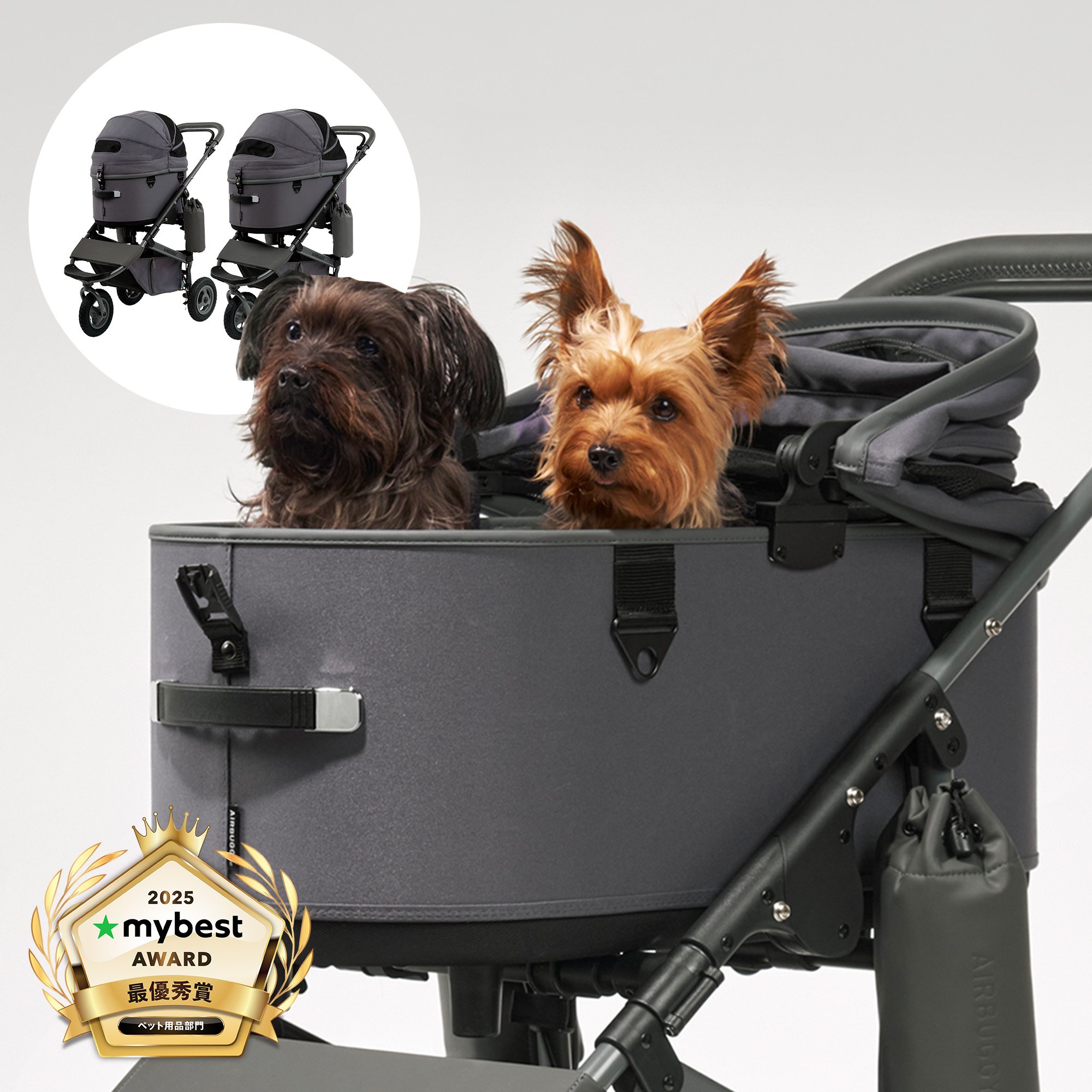 専用】①【極美品】 エアバギー プレミアム ドーム3 限定グレー