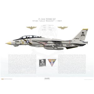 Aircraft profile print of F-14A Tomcat VF-84 Jolly Rogers, AJ200