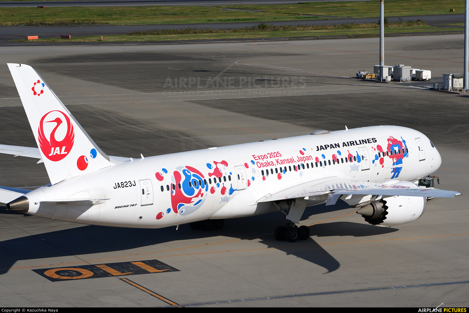 航空機・ヘリコプター JAL B787-9 JA823J Myaku Myaku Jet JAL Unveils