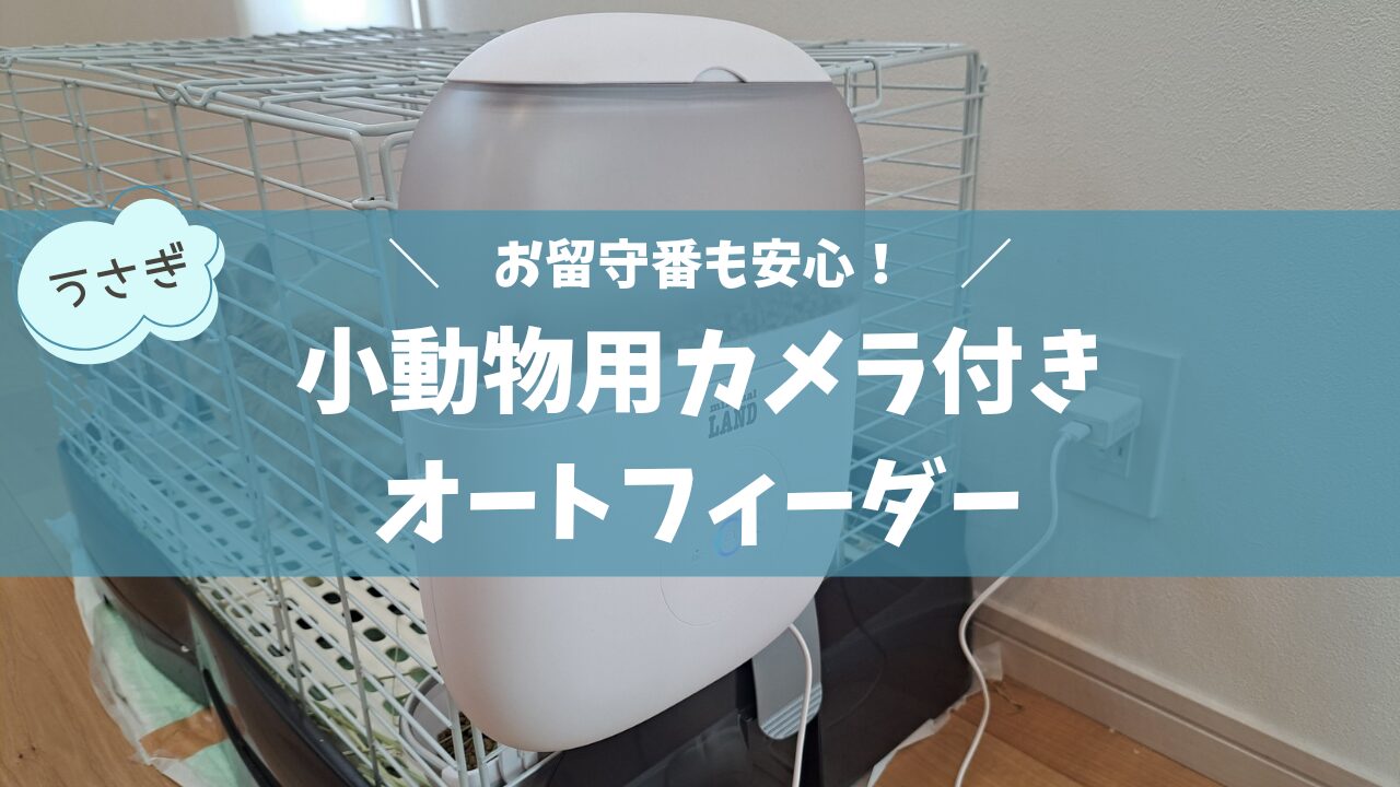 aoi-to | カメラ付きでお留守番も安心！うさぎのオートフィーダー