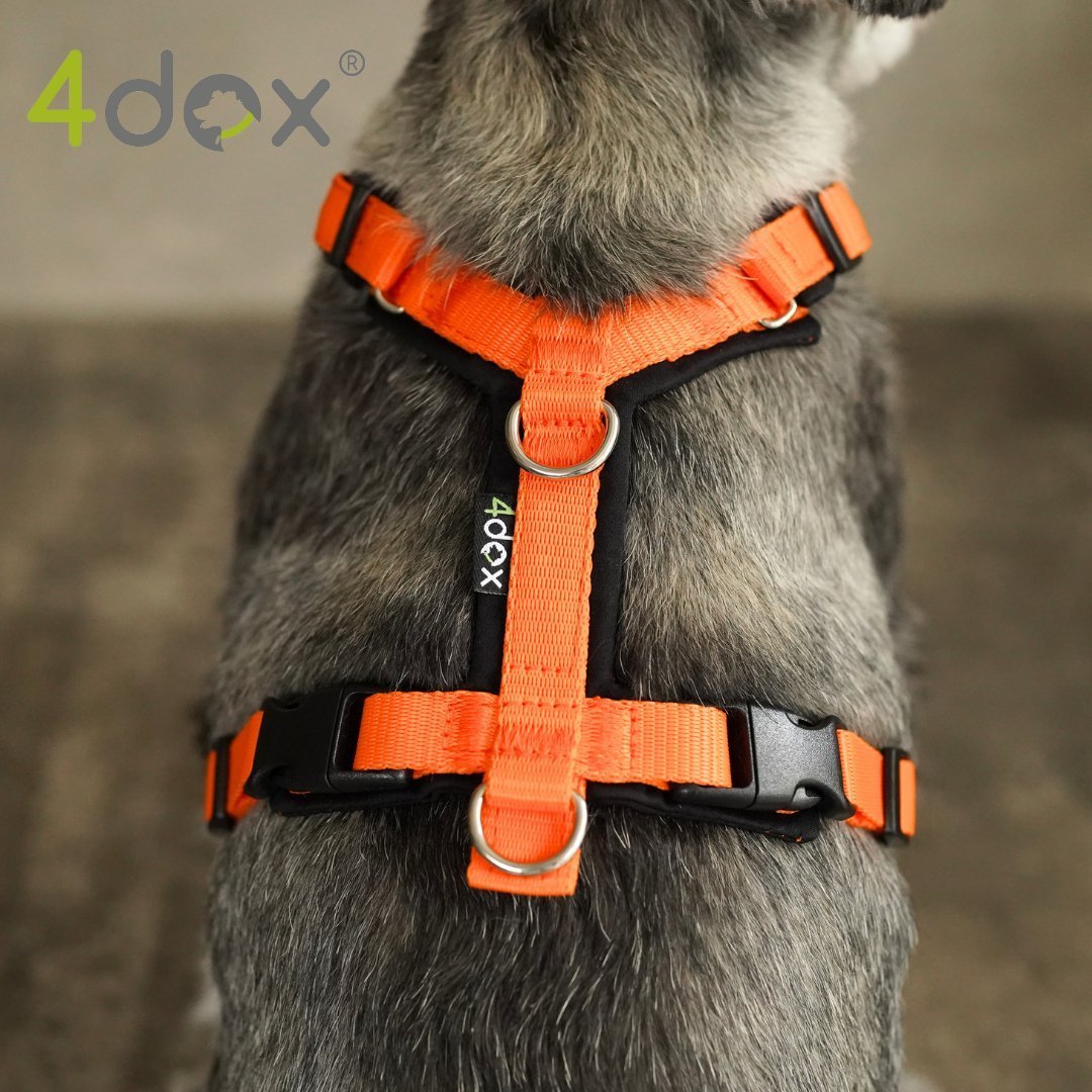 犬用ハーネス｜2トーンカラーがおしゃれ｜4doxコンフォートプラス