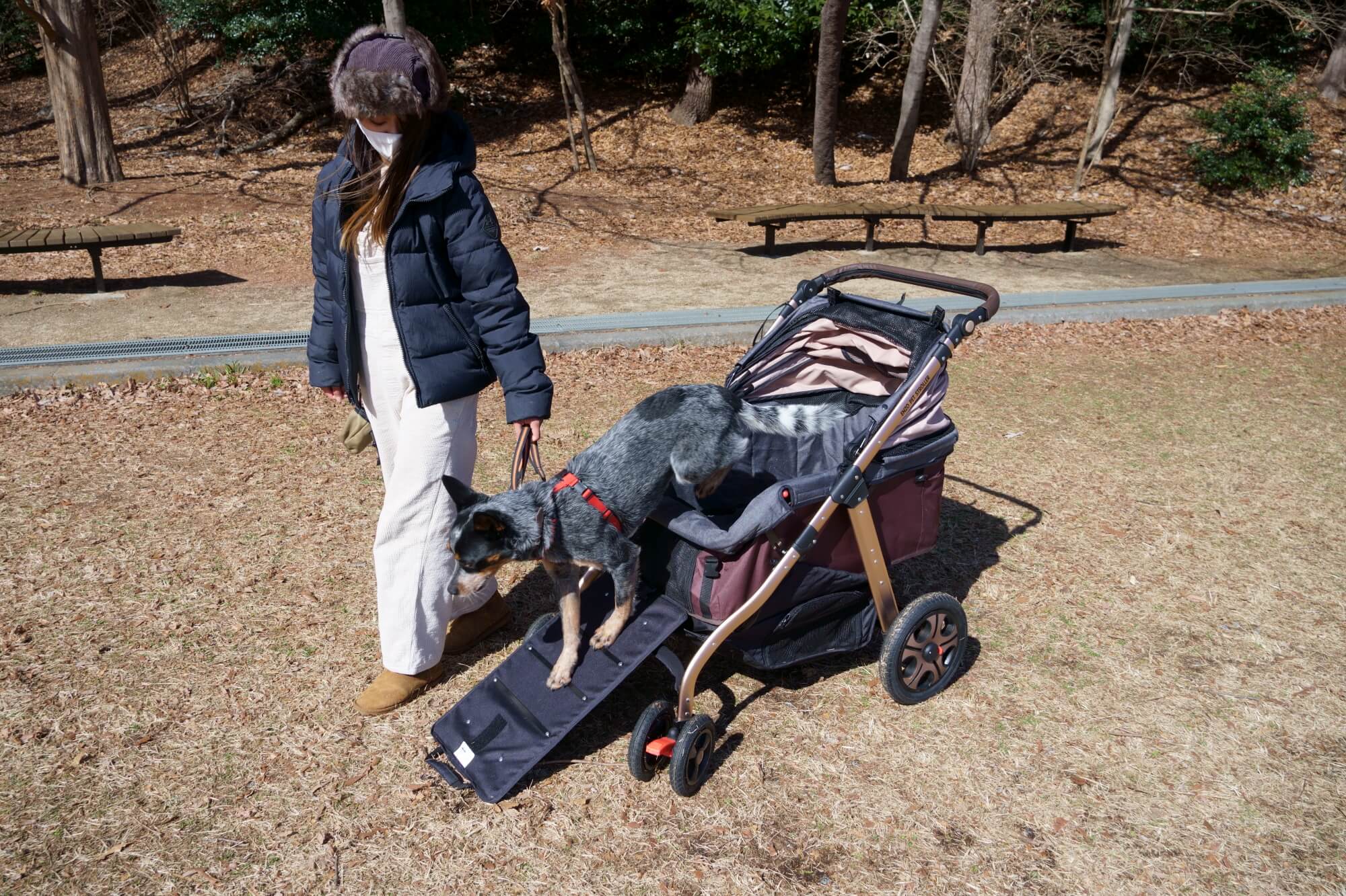 オールワンプレミアム