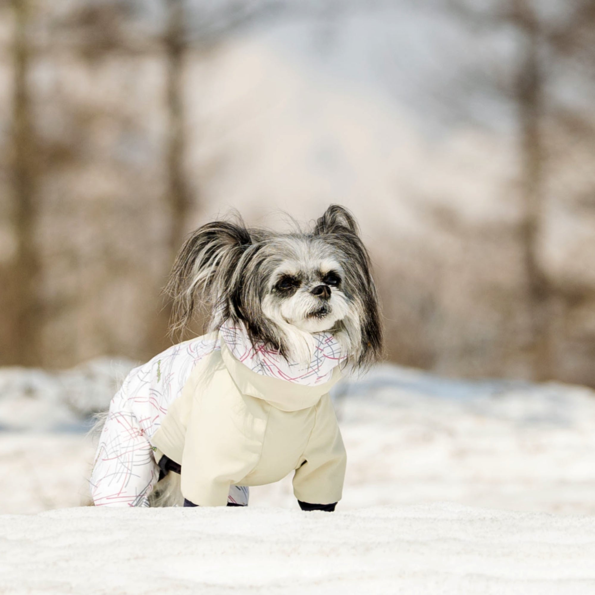 新商品情報】 DOG GUARD®︎ AIR