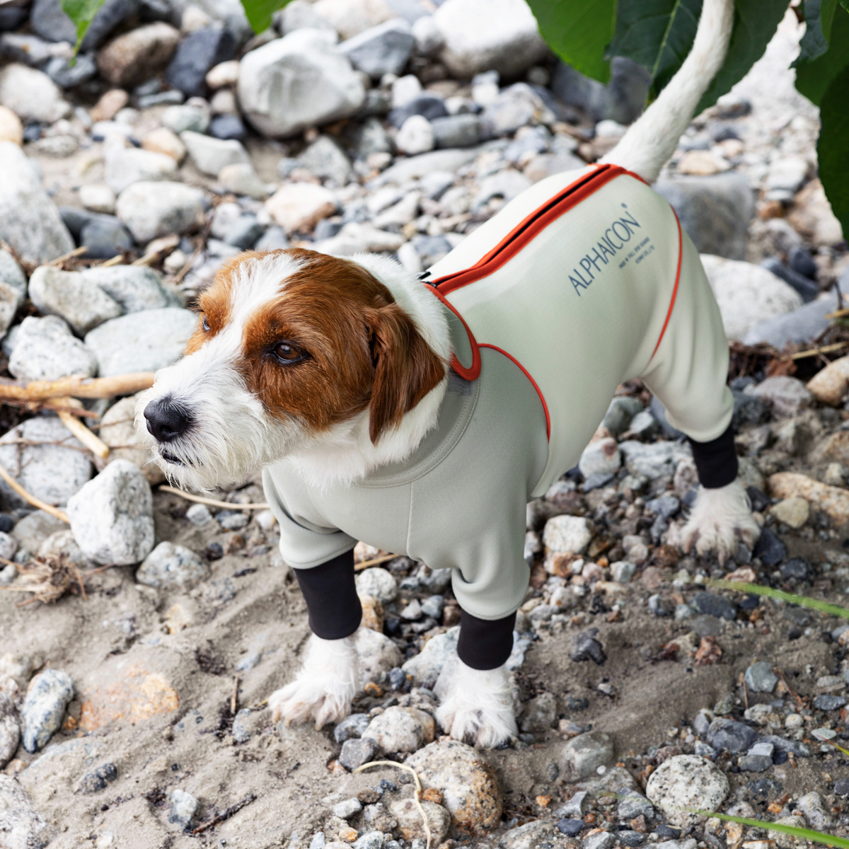 1_99f3d134-9a3d-4e70-a17c-