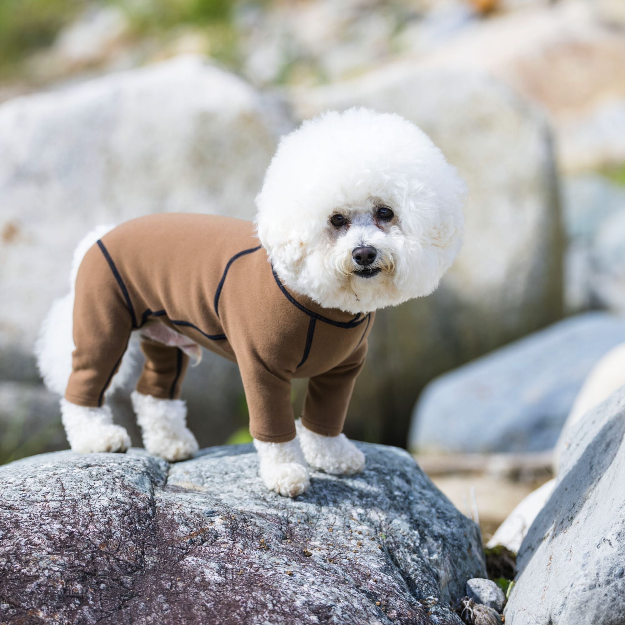 ALPHAICONホットドッグガード2020サイズM ALPHAICON HOT DOG GUARD