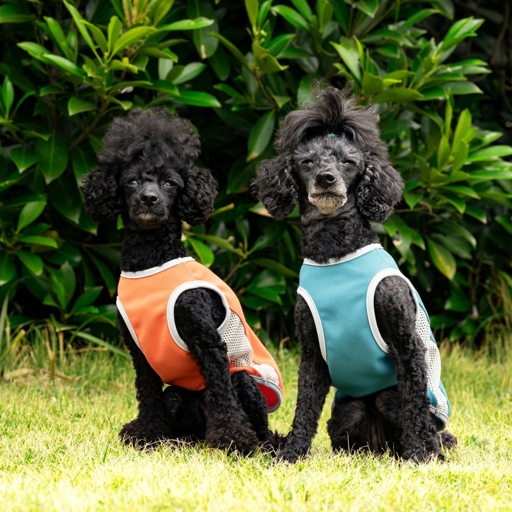 公*o様 ALPHAICON サマークーリングタンクトップ DXMサイズ 3枚セ