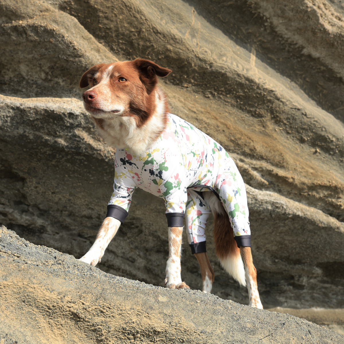 2_36b9f58f-9a6d-45e8-97b4-