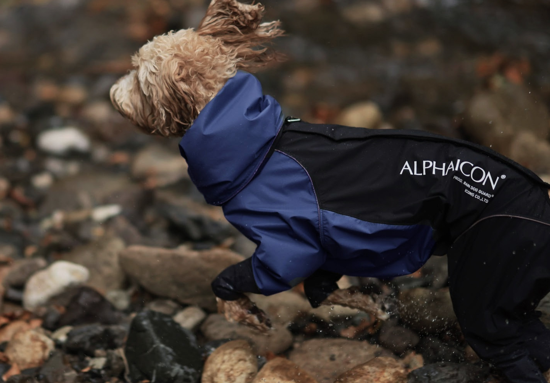 アルファアイコン alphaicon ドッグガードエア DXM アルファアイコン