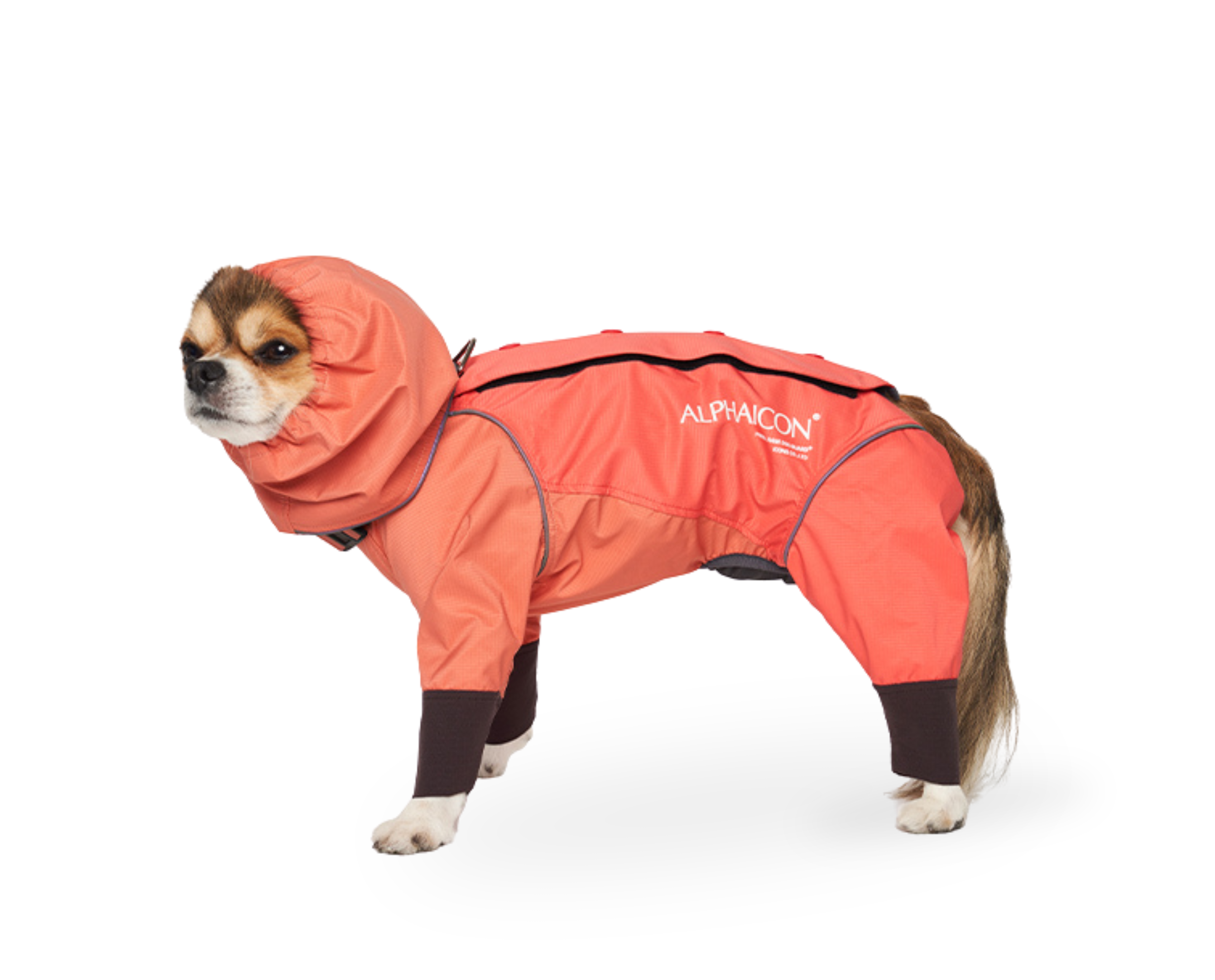 犬服・アクセサリー ALPHACON DOG GUARD M 犬服・アクセサリー