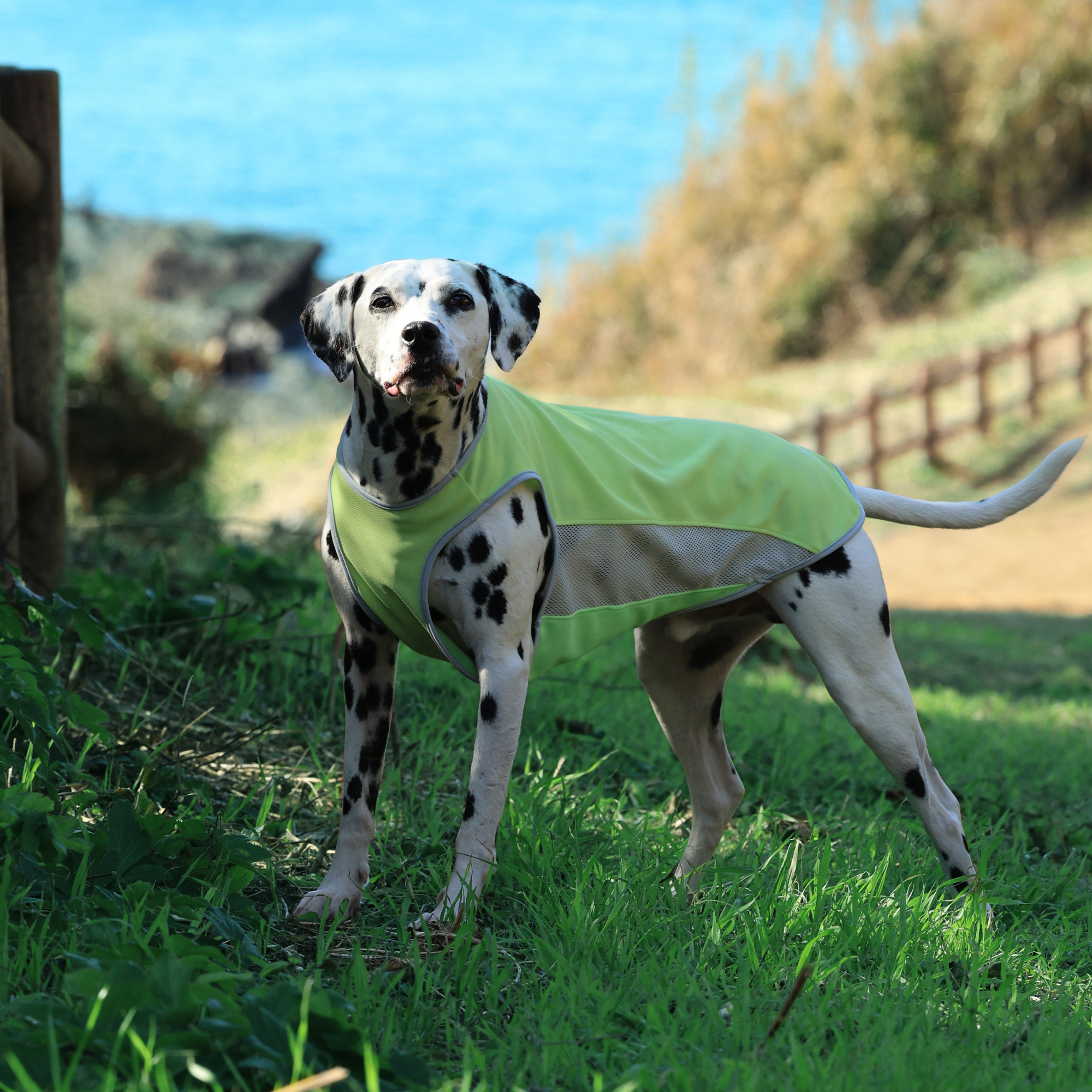 アルファアイコン サマークーリングネック 1XL ALPHAICON サマー