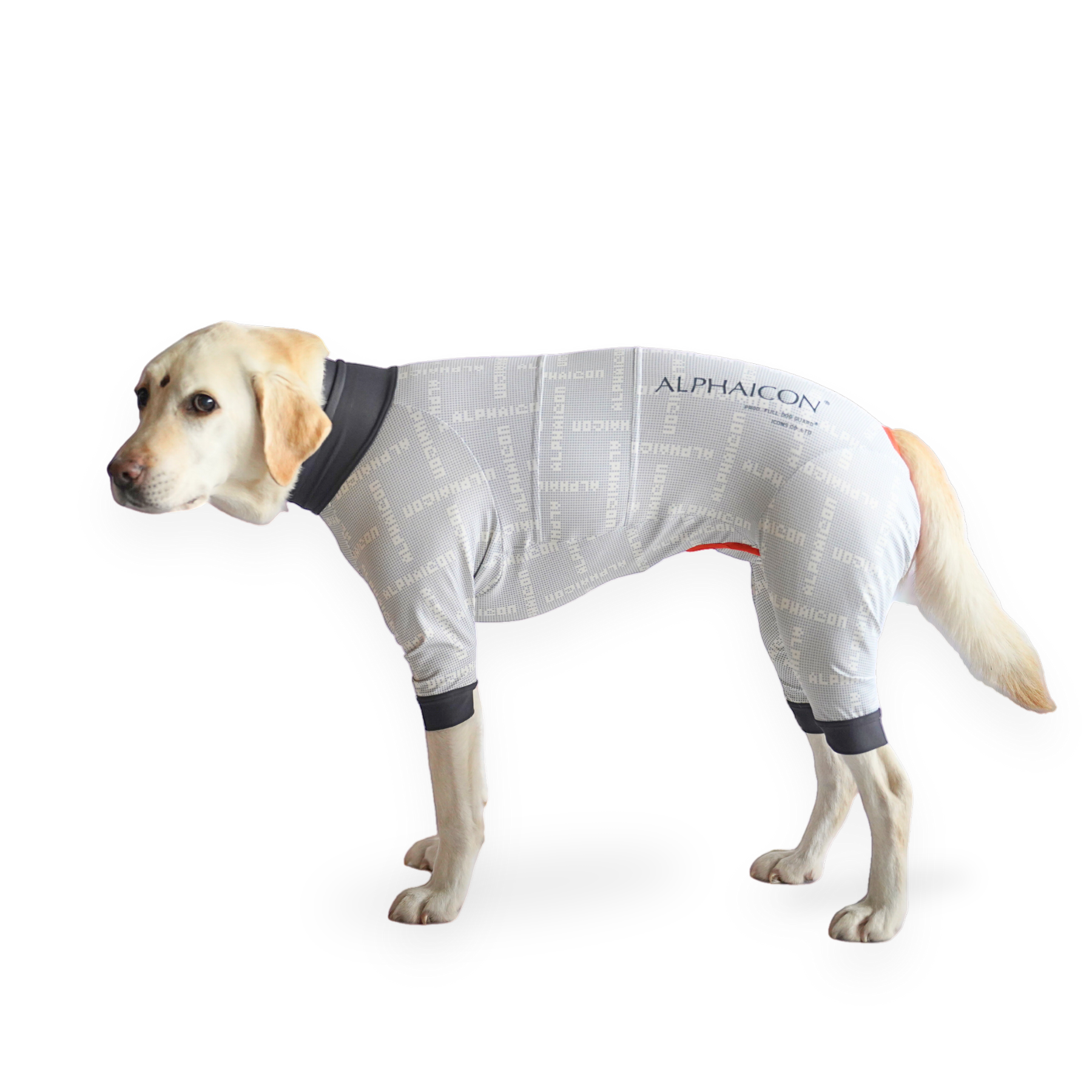 ☆週末値下げ☆アルファアイコン スノードッグガード(L) 公式 ☆週末