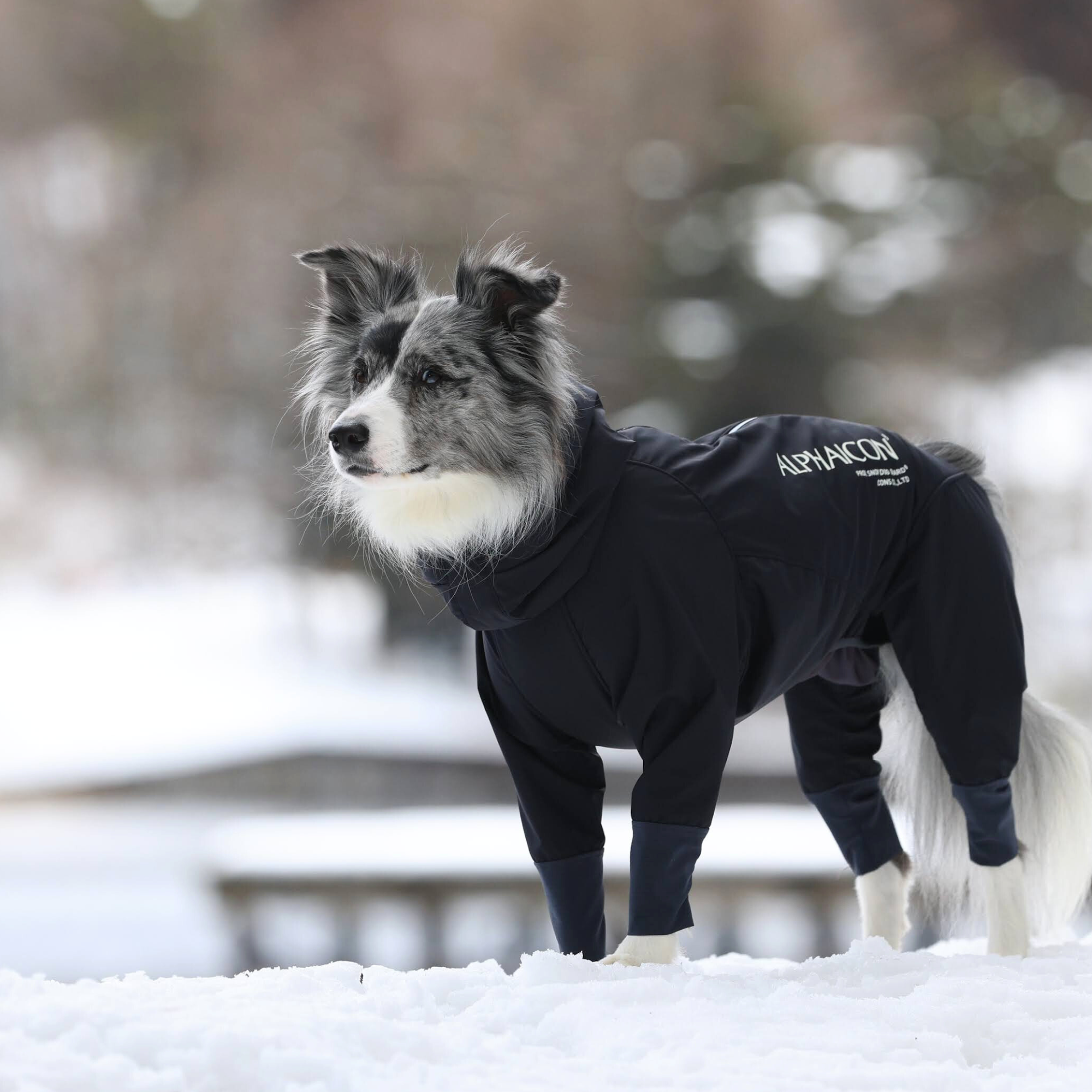 ALPHAICON アルファアイコン】ダブルフルドッグガード L ALPHAICON